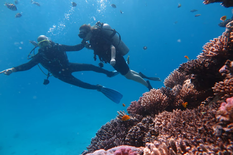 Айя Напа дайвинг центр Olympian Divers